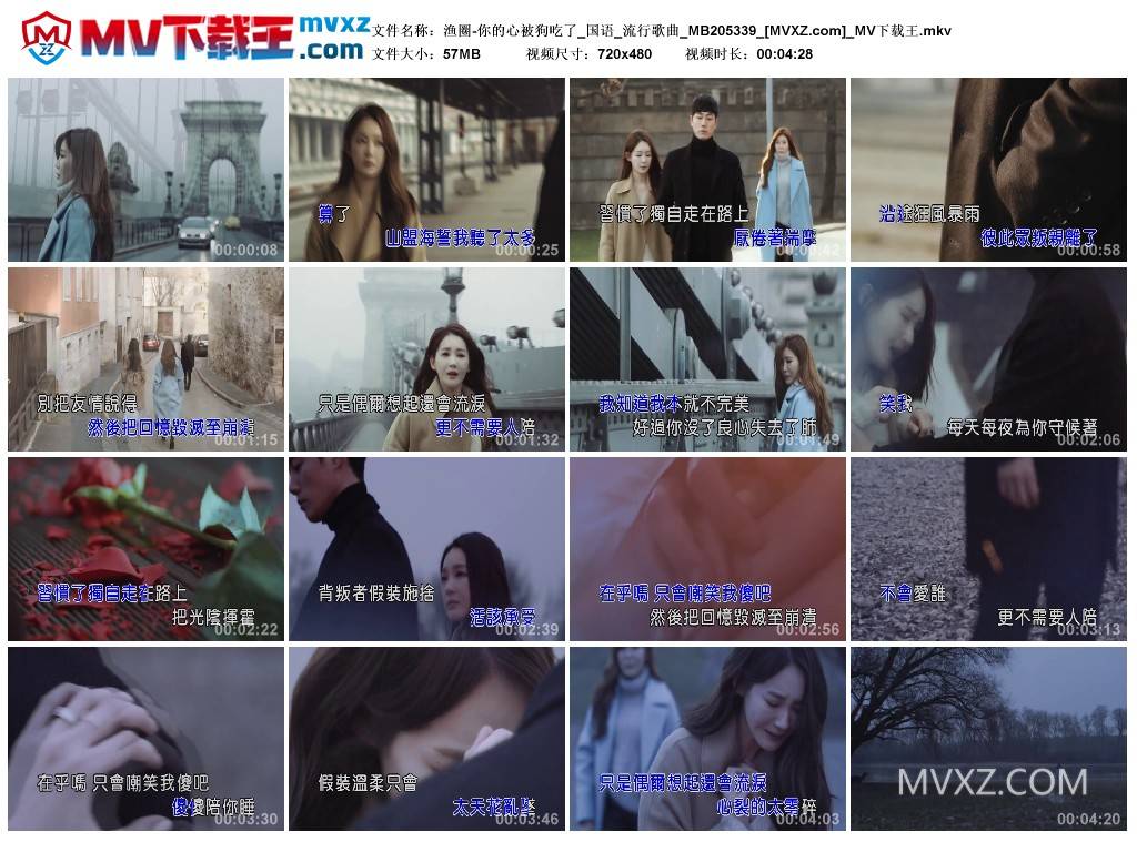 渔圈-你的心被狗吃了_国语_流行歌曲_MB205339